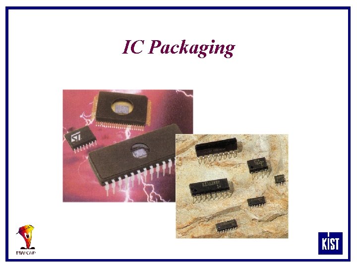 IC Packaging 
