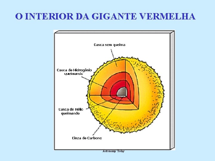 O INTERIOR DA GIGANTE VERMELHA Astronomy Today 