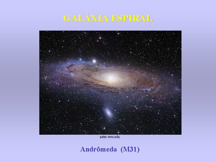GALÁXIA ESPIRAL astro. wsu. edu Andrômeda (M 31) 