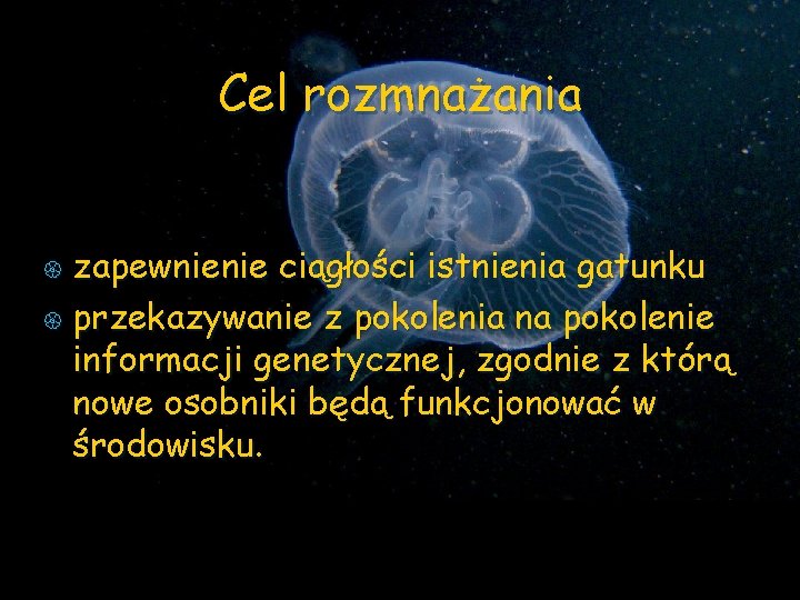 Cel rozmnażania zapewnienie ciągłości istnienia gatunku { przekazywanie z pokolenia na pokolenie informacji genetycznej,