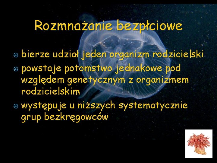 Rozmnażanie bezpłciowe bierze udział jeden organizm rodzicielski { powstaje potomstwo jednakowe pod względem genetycznym