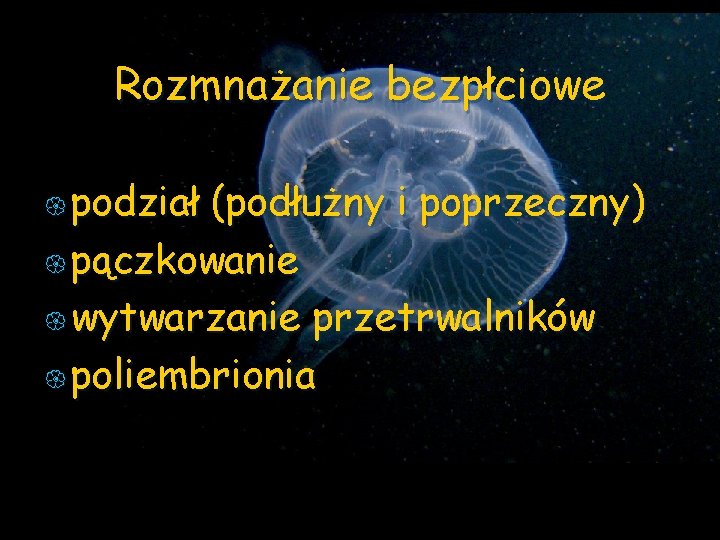 Rozmnażanie bezpłciowe { podział (podłużny i poprzeczny) { pączkowanie { wytwarzanie przetrwalników { poliembrionia