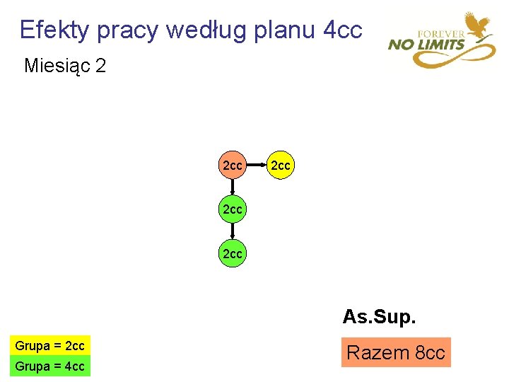 Efekty pracy według planu 4 cc Miesiąc 2 2 cc 2 cc As. Sup.