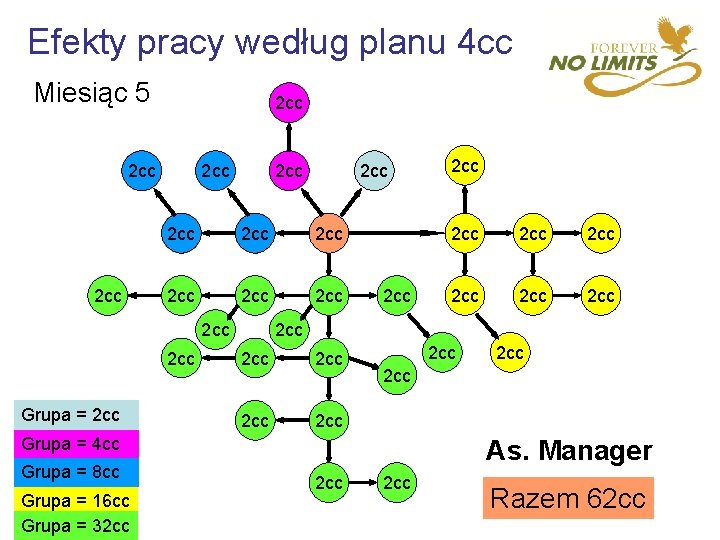 Efekty pracy według planu 4 cc Miesiąc 5 2 cc 2 cc 2 cc