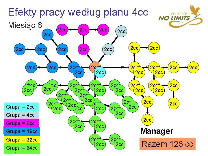 Efekty pracy według planu 4 cc Miesiąc 6 2 cc 2 cc 2 cc