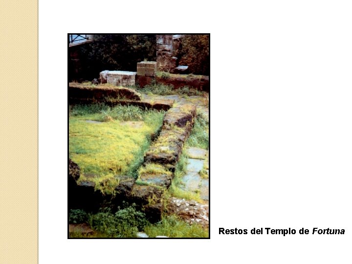 Restos del Templo de Fortuna 