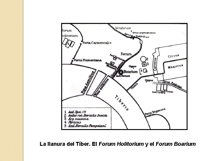 La llanura del Tíber. El Forum Holitorium y el Forum Boarium 