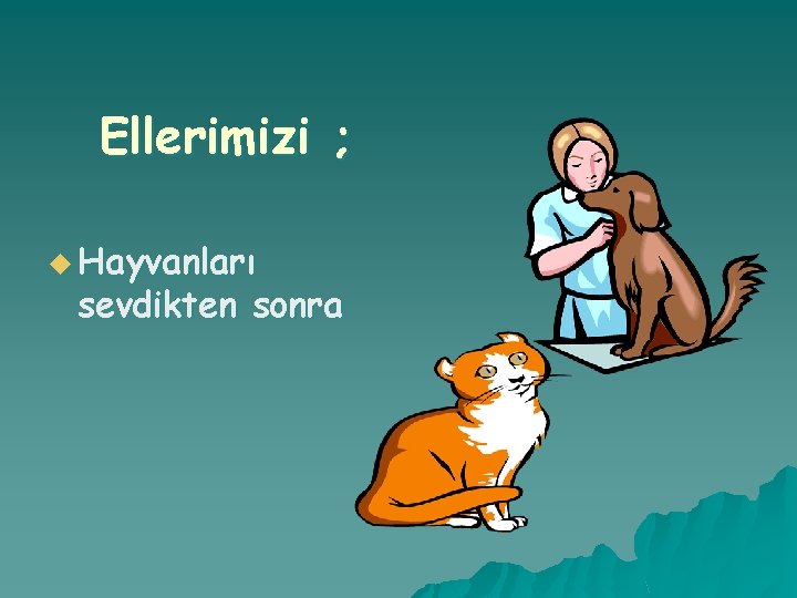 Ellerimizi ; u Hayvanları sevdikten sonra 