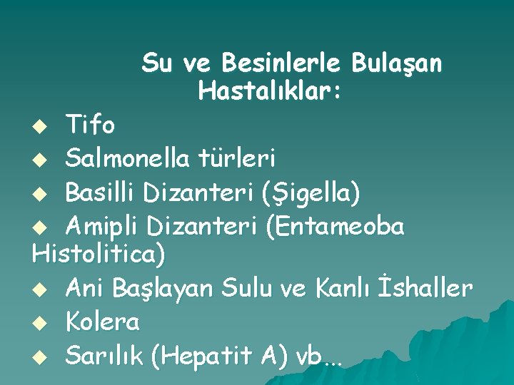 Su ve Besinlerle Bulaşan Hastalıklar: Tifo u Salmonella türleri u Basilli Dizanteri (Şigella) u