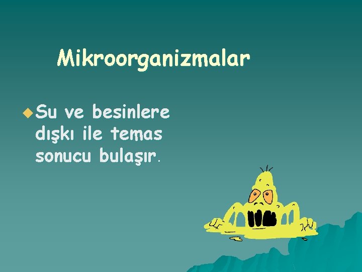 Mikroorganizmalar u Su ve besinlere dışkı ile temas sonucu bulaşır. 