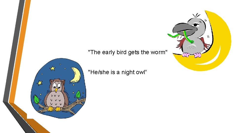 "The early bird gets the worm" "He/she is a night owl” 