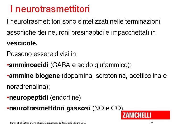 I neurotrasmettitori sono sintetizzati nelle terminazioni assoniche dei neuroni presinaptici e impacchettati in vescicole.