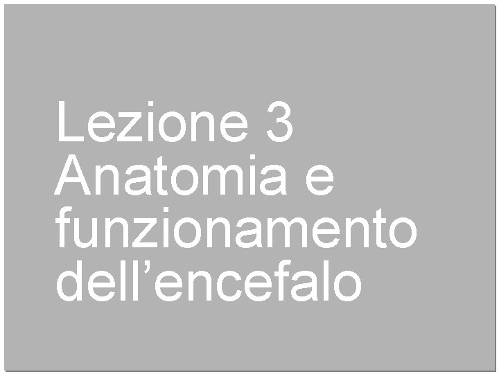 Lezione 3 Anatomia e funzionamento dell’encefalo 