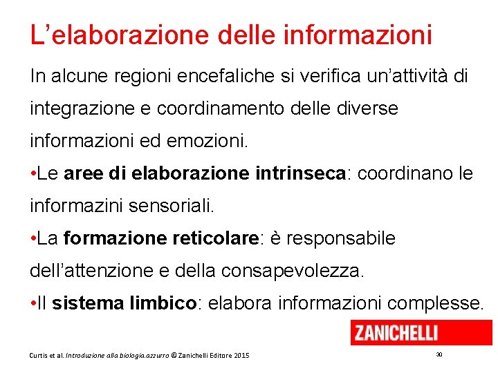 L’elaborazione delle informazioni In alcune regioni encefaliche si verifica un’attività di integrazione e coordinamento