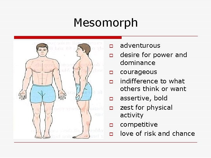 Mesomorph o o o o adventurous desire for power and dominance courageous indifference to