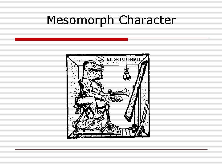 Mesomorph Character 