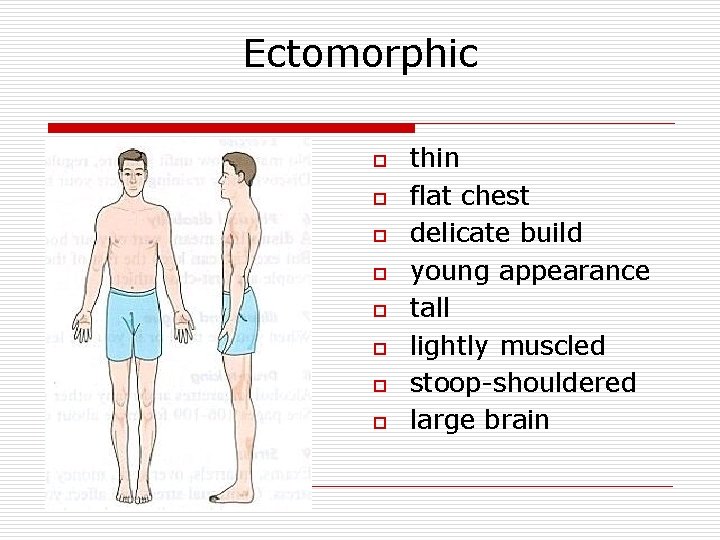 Ectomorphic o o o o thin flat chest delicate build young appearance tall lightly