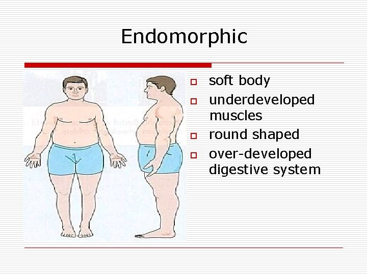 Endomorphic o o soft body underdeveloped muscles round shaped over-developed digestive system 