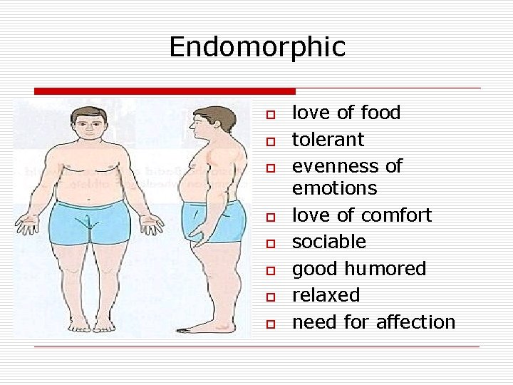 Endomorphic o o o o love of food tolerant evenness of emotions love of