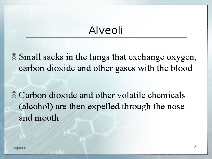 Alveoli N Small sacks in the lungs that exchange oxygen, carbon dioxide and other