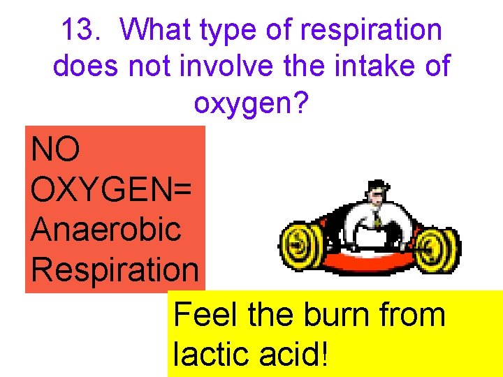 13. What type of respiration does not involve the intake of oxygen? NO OXYGEN=