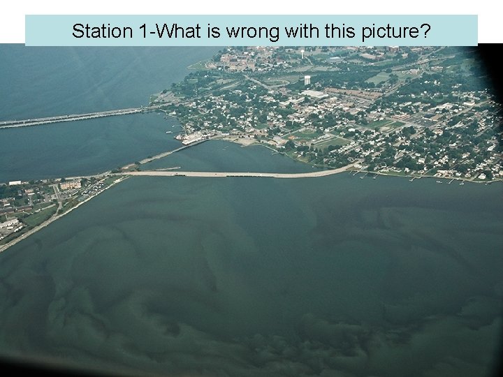 Station 1 -What is wrong with this picture? 