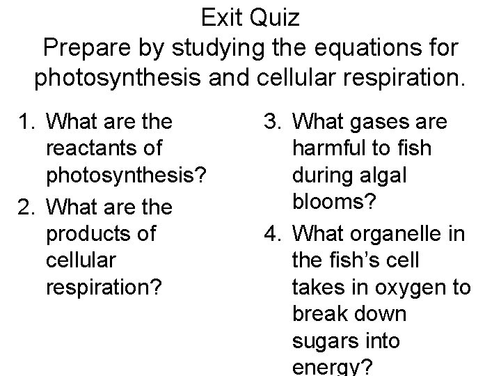 Exit Quiz Prepare by studying the equations for photosynthesis and cellular respiration. 1. What