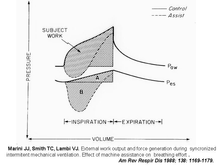 Marini JJ, Smith TC, Lambi VJ. External work output and force generation during syncronized