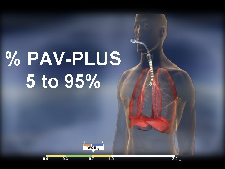 % PAV-PLUS 5 to 95% 