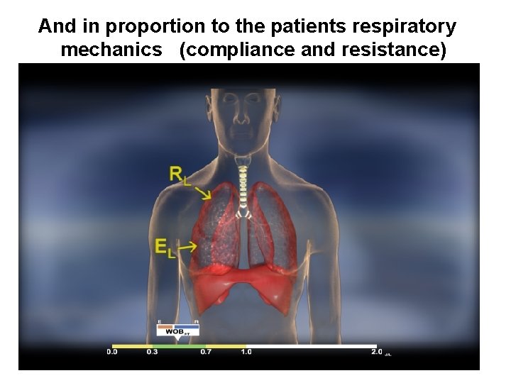And in proportion to the patients respiratory mechanics (compliance and resistance) 