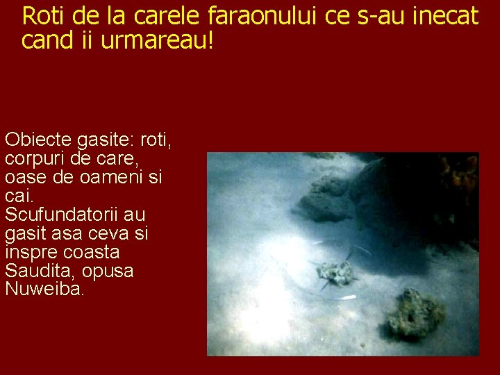 Roti de la carele faraonului ce s-au inecat cand ii urmareau! Obiecte gasite: roti,