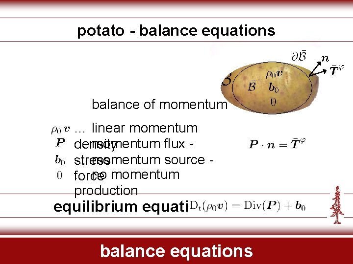 potato - balance equations balance of momentum … linear momentum … momentum flux density