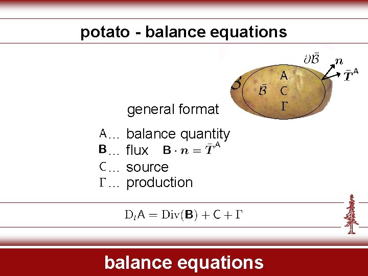 potato - balance equations general format … balance quantity … flux … source …