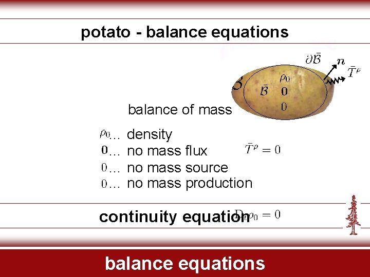 potato - balance equations balance of mass … density … no mass flux …
