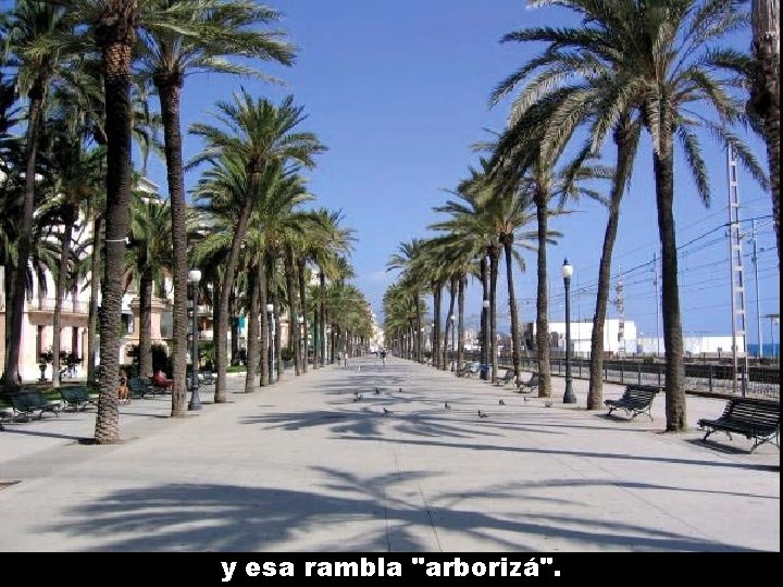 y esa rambla "arborizá". 