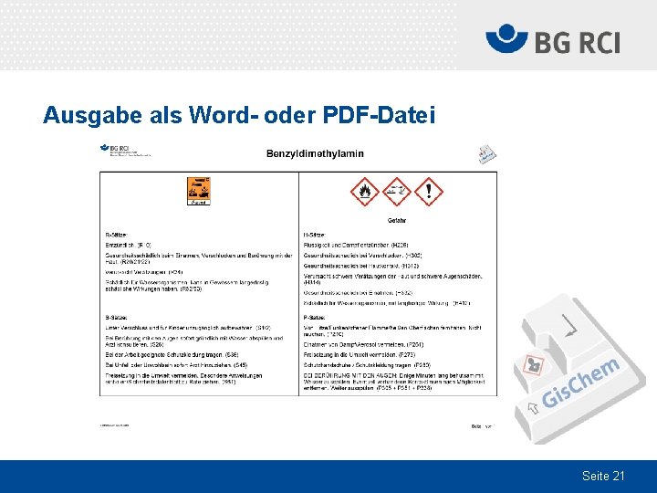 Ausgabe als Word- oder PDF-Datei Seite 21 