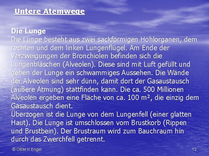 Untere Atemwege Die Lunge besteht aus zwei sackförmigen Hohlorganen, dem rechten und dem linken