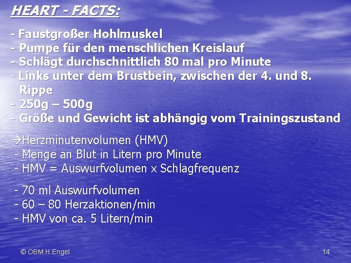 HEART - FACTS: - Faustgroßer Hohlmuskel - Pumpe für den menschlichen Kreislauf - Schlägt