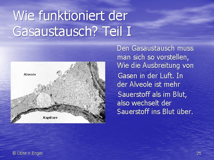 Wie funktioniert der Gasaustausch? Teil I Den Gasaustausch muss man sich so vorstellen, Wie