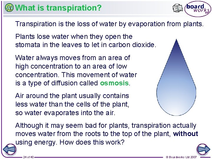 What is transpiration? Transpiration is the loss of water by evaporation from plants. Plants