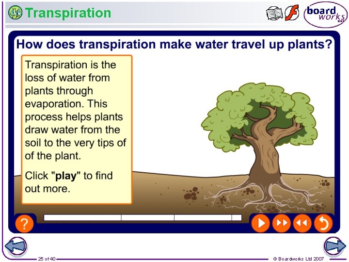 Transpiration 25 of 40 © Boardworks Ltd 2007 