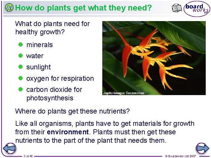 How do plants get what they need? What do plants need for healthy growth?