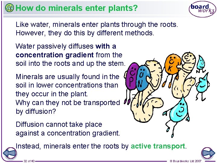 How do minerals enter plants? Like water, minerals enter plants through the roots. However,