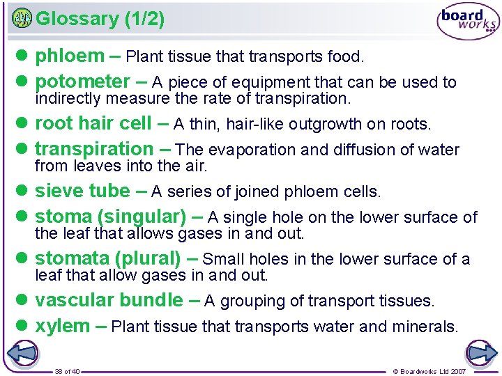 Glossary (1/2) l phloem – Plant tissue that transports food. l potometer – A