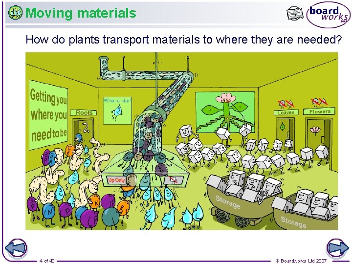 Moving materials How do plants transport materials to where they are needed? 4 of