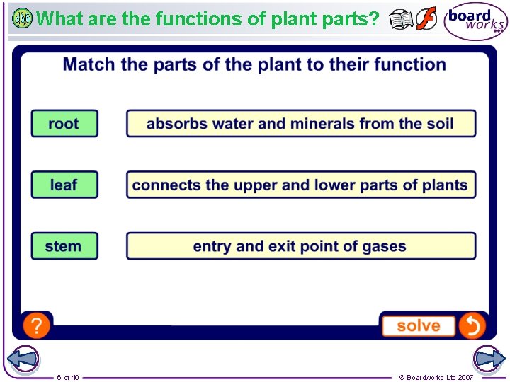 What are the functions of plant parts? 6 of 40 © Boardworks Ltd 2007