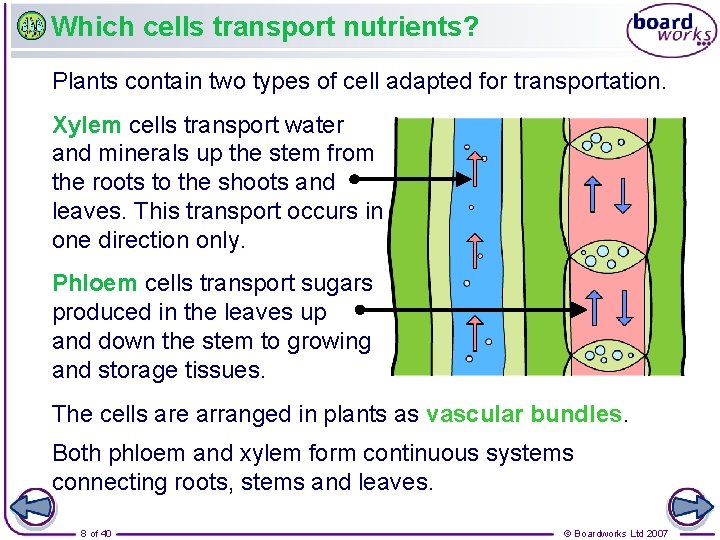 Which cells transport nutrients? Plants contain two types of cell adapted for transportation. Xylem