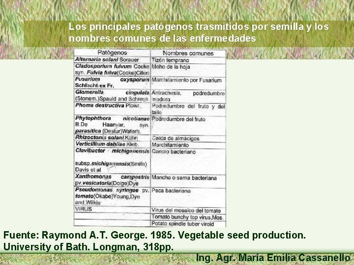 Los principales patógenos trasmitidos por semilla y los nombres comunes de las enfermedades Fuente: