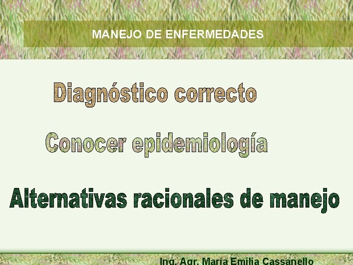MANEJO DE ENFERMEDADES Ing. Agr. María Emilia Cassanello 