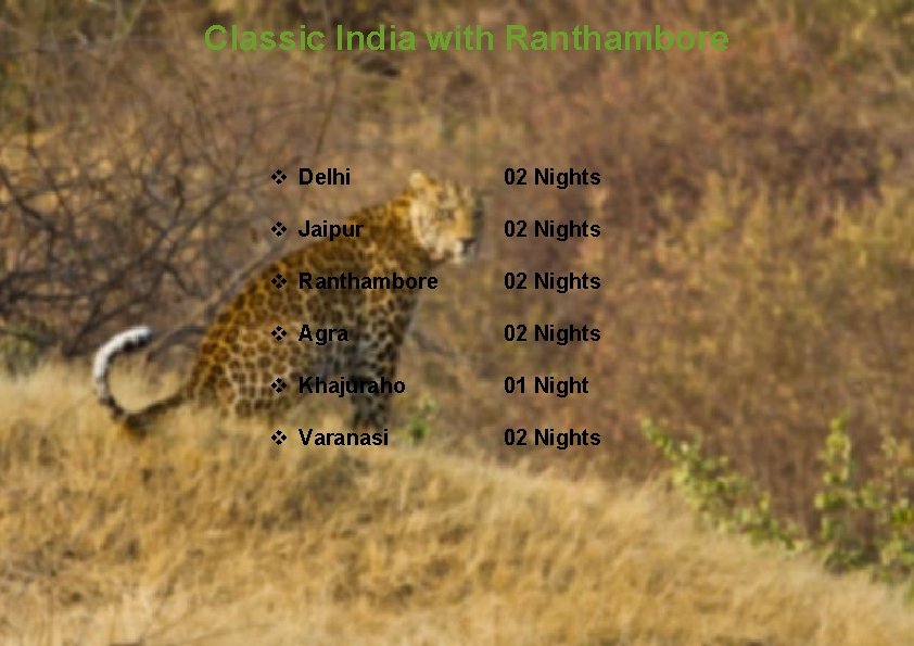 Classic India with Ranthambore v Delhi 02 Nights v Jaipur 02 Nights v Ranthambore